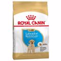 ROYAL CANIN XIRA TROFI SKuLOu LABRADOR JUNIOR 3KG